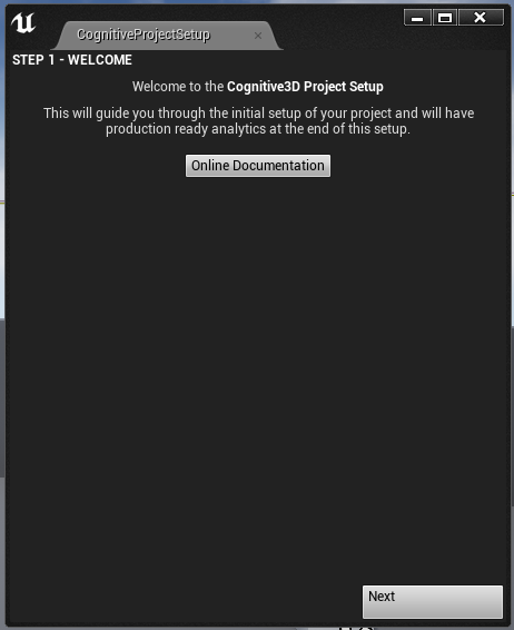 project setup window